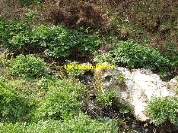 Photo 6"x4" The Tidna stream Crosstown\/SS2015 c2007