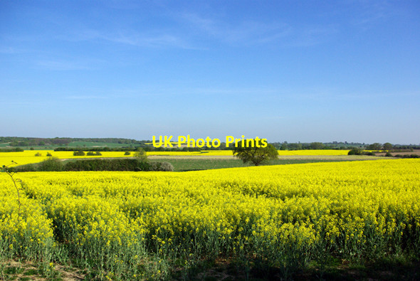 Photo 6"x4" View in yellow, green and blue Brook Street\/TQ9333 c2007