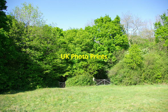 Photo 6"x4" A small gate and a big gate Baldslow c2007