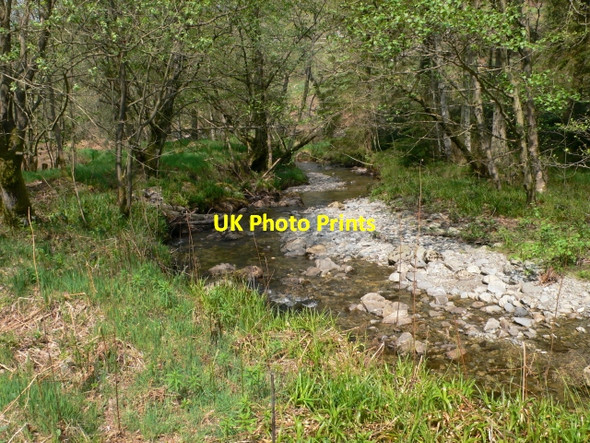 Photo 6"x4" Afon Trystion Cynwyd c2007