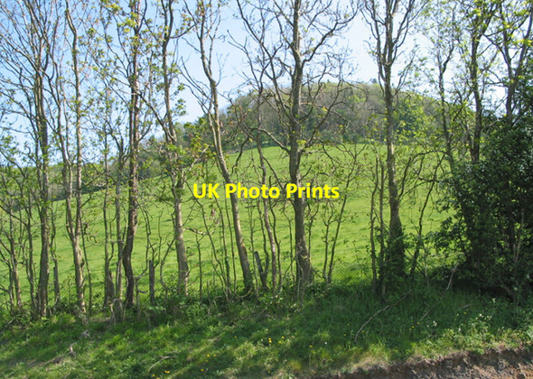 Photo 6"x4" Looking up Frocester Hill Coaley Peak c2007