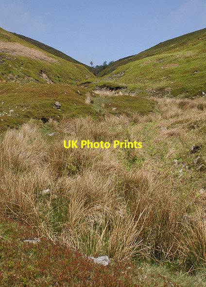Photo 6"x4" Black Clough Sykes\/SD6351 c2007