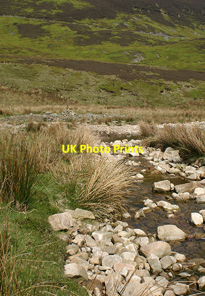 Photo 6"x4" Fiendsdale Water Lingy Pits Moss c2007