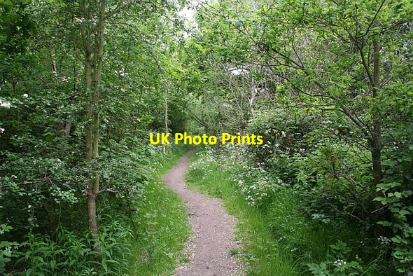 Photo 6"x4" Path in St.Wulstan's Nature Reserve Marl Bank c2007