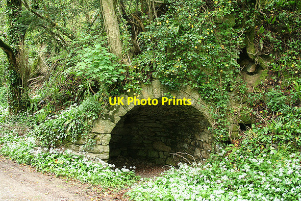 Photo 6"x4" Yealmpton: limekiln by disused railway Yealmpton c2007