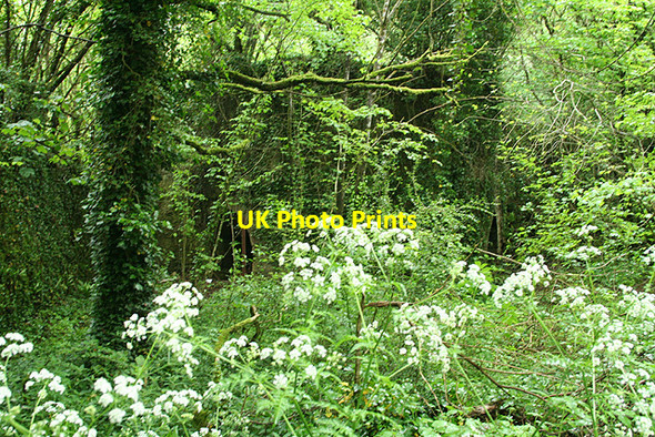 Photo 6"x4" Yealmpton: limekilns by Kitley Caves Yealmpton c2007