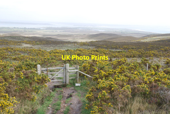 Photo 6"x4" Gate on Godlingston Heath Studland c2007