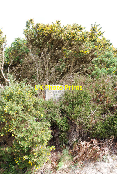 Photo 6"x4" Hidden path marker on Godlingston Heath Studland c2007