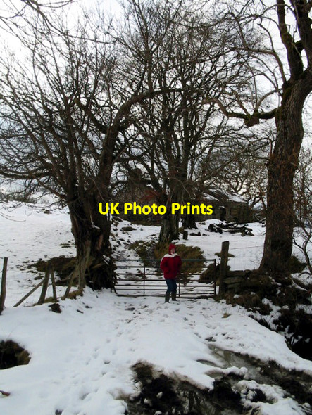 Photo 6"x4" Giat Pen Nant Llanrwst c2006