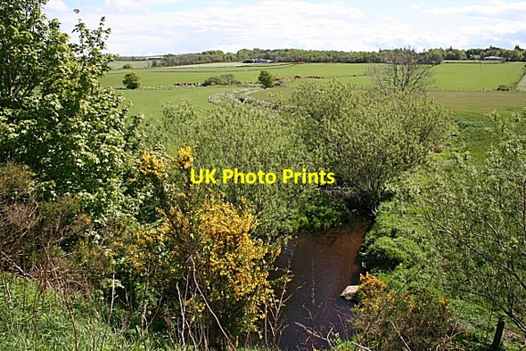 Photo 6"x4" Burn of Boyne Cornhill\/NJ5858 c2007