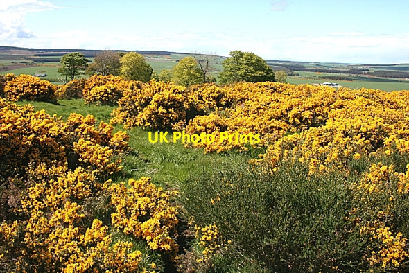 Photo 6"x4" Corn Hill Old Cornhill c2007