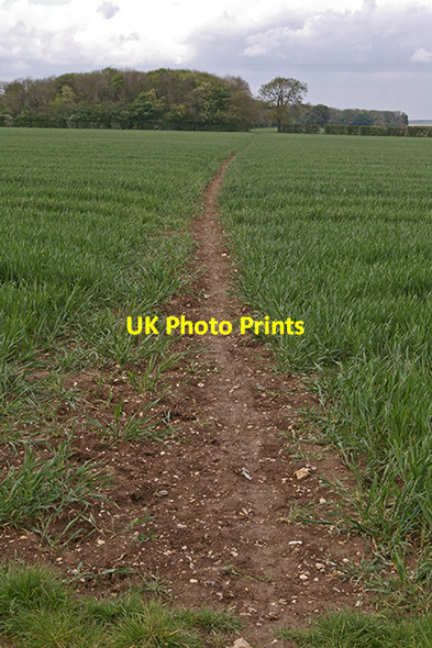 Photo 6"x4" Bridleway to Binbrook Great Tows c2007