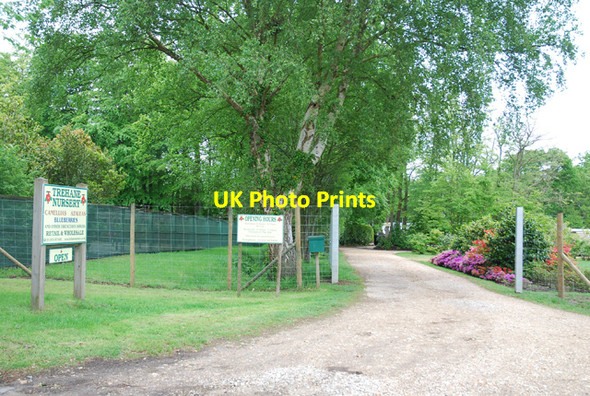 Photo 6"x4" Entrance to Trehane Nursery Hampreston c2007