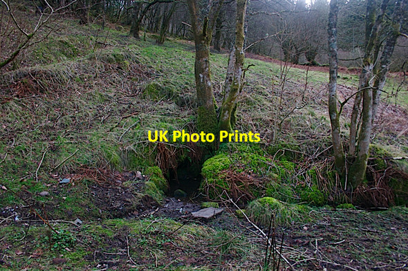 Photo 6"x4" Easterpark Well, Aberfoyle Aberfoyle c2007
