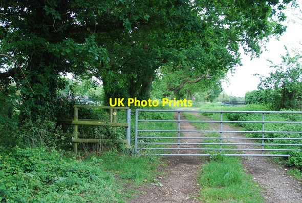 Photo 6"x4" Ferndown, Stour and Forest Trail going east Hampreston c2007