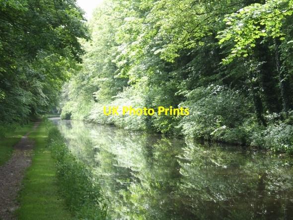 Photo 6"x4" Early summer on the Shropshire Union Canal Lapley c2007
