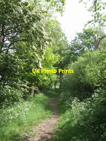 Photo 6"x4" Bridleway to Lapley Lapley c2007