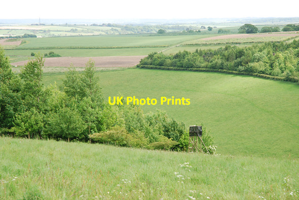 Photo 6"x4" South Down Turnworth c2007