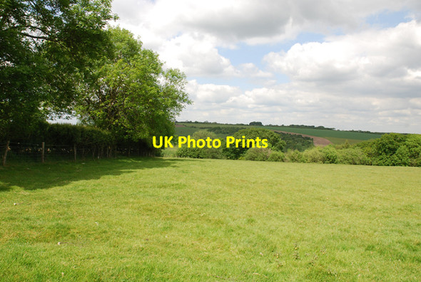 Photo 6"x4" Edge of Park Wood Ibberton c2007