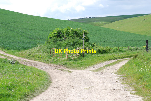 Photo 6"x4" Bridleway Junction Hedge End\/ST8206 c2007