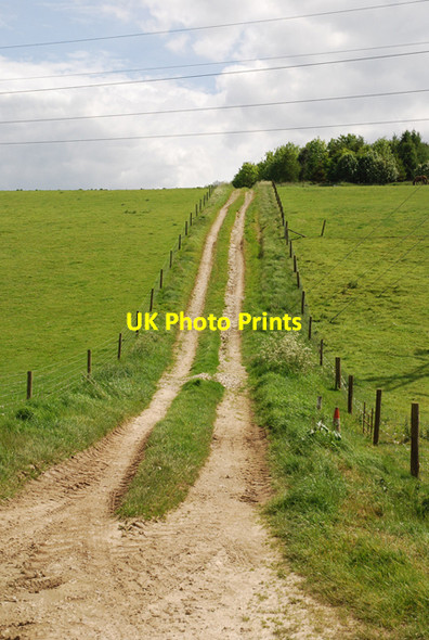 Photo 6"x4" Track up eastern end of South Down Hedge End\/ST8206 c2007