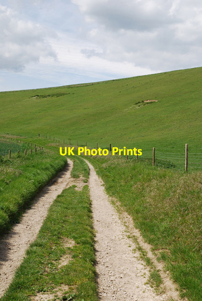 Photo 6"x4" Track curving into Coombe Bottom Turnworth c2007