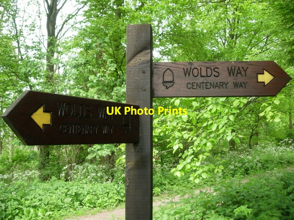 Photo 6"x4" Wolds Way - Centenary Way fingerposts on the edge of Settrington Wood North Grimston c2007