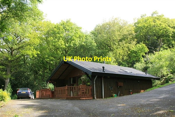 Photo 6"x4" Sneugle, Springwood Lodges Summerbridge c2007