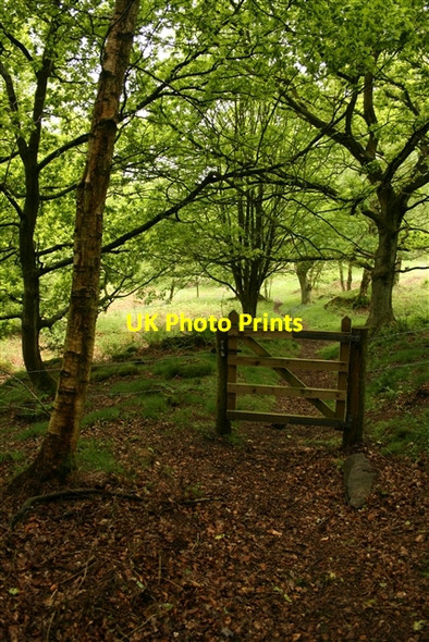 Photo 6"x4" Gateway, near Hartwith Bank Low Laithe\/SE1963 c2007
