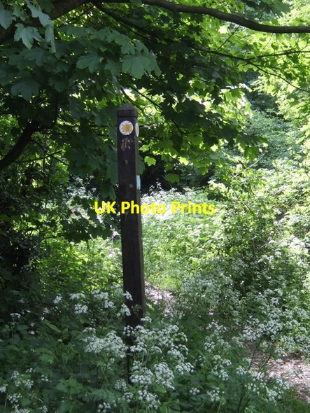 Photo 6"x4" Footpath to Lapley Lapley c2007