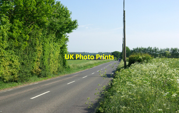 Photo 6"x4" Stone Street - a Roman road North Leigh\/TR1347 c2007