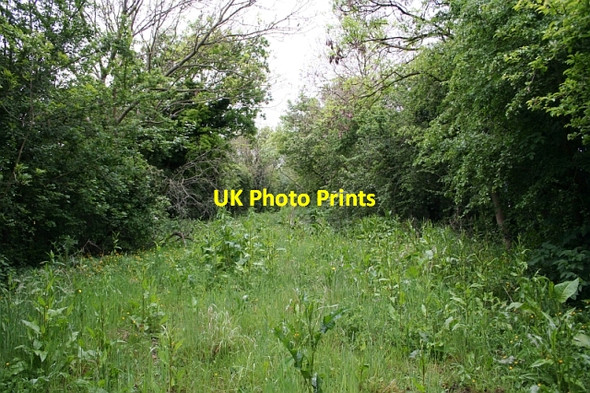 Photo 6"x4" Track of Disused Railway Marl Bank c2007