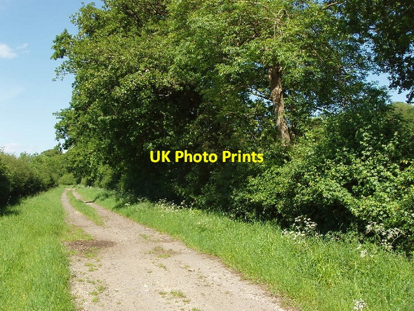 Photo 6"x4" Bridleway near Henwood Farm Chawley c2007