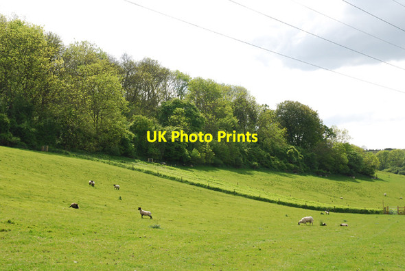 Photo 6"x4" Lower edge of Park Wood Turnworth c2007