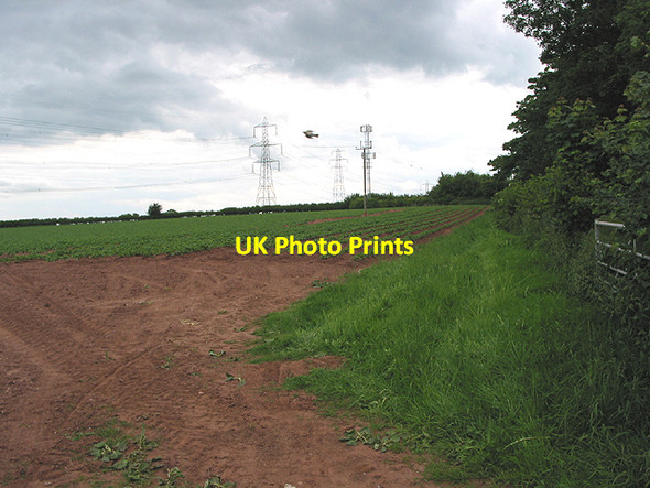 Photo 6"x4" Potatoes, pylons - and a pigeon! Lea\/SO6521 c2007