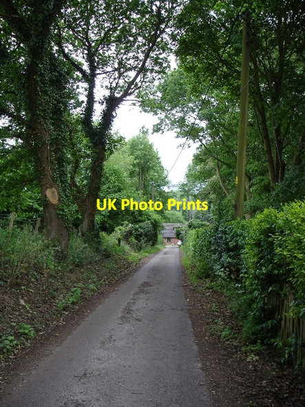 Photo 6"x4" Narrow wooded lane. Lilyvale\/TR0839 c2007