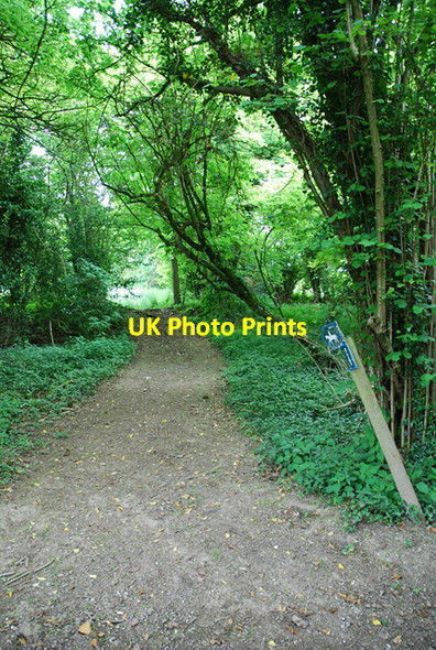 Photo 6"x4" Bridleway leaving Monarch's Way Dinton\/SU0131 c2007