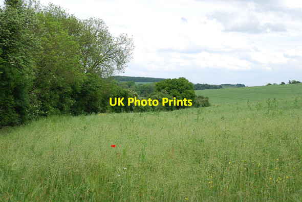 Photo 6"x4" Farmland south of Monarch's Way Dinton\/SU0131 c2007
