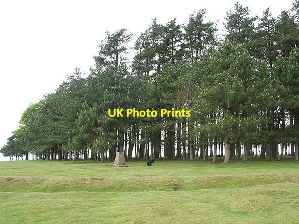 Photo 6"x4" Triangulation pillar and ditch on May Hill Dursley Cross c2007