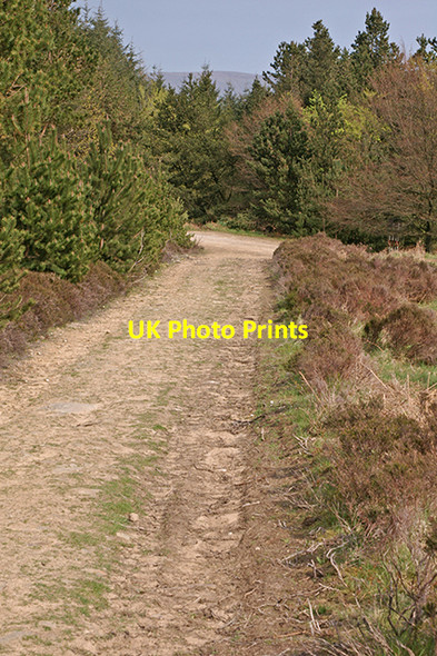 Photo 6"x4" Track on Longridge Fell Walker Fold\/SD6741 c2007