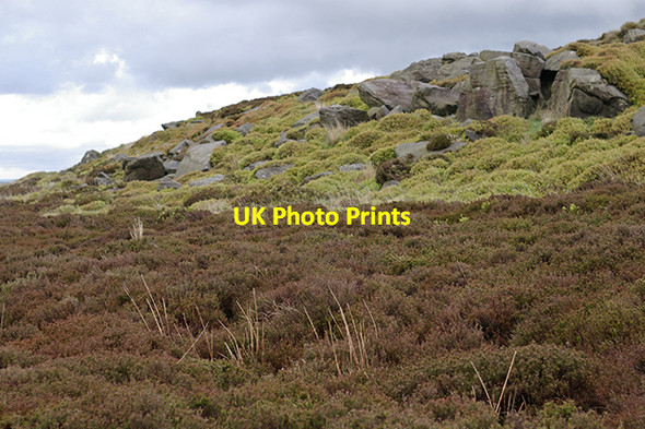 Photo 6"x4" Rocky outcrop on Turton Moor Cadshaw c2007