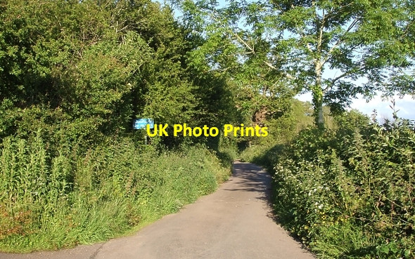 Photo 6"x4" Lane to East Lynch out of Selworthy Blackford\/SS9245 c2007