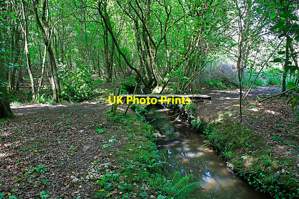 Photo 6"x4" Footbridge over stream in Botley Wood Lee Ground c2007