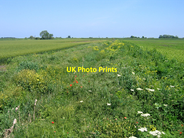 Photo 6"x4" Conservation ditch, Bourne South Fen, Lincs Bourne\/TF0920 c2007