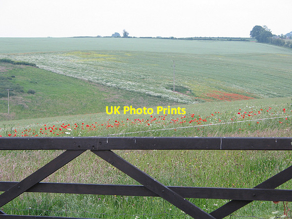 Photo 6"x4" Impressionist fields near Kingstone Kingstone\/SO6324 c2007