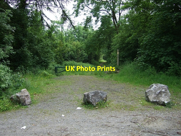 Photo 6"x4" North Entrance to Coed y Marlau Welsh St Donats c2007