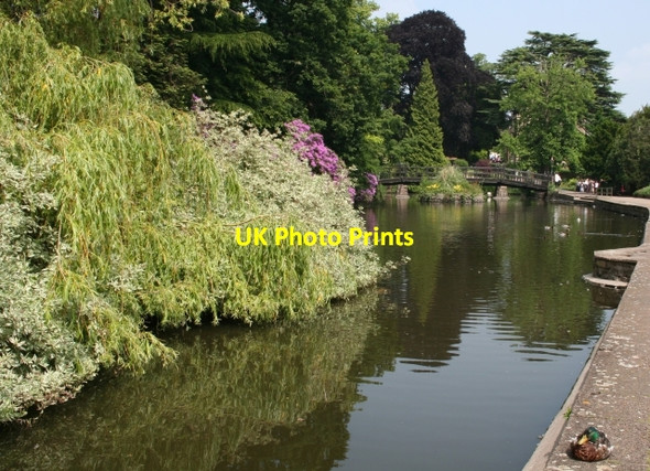 Photo 6"x4" Swan Pool, Priory Park, Great Malvern Great Malvern c2007
