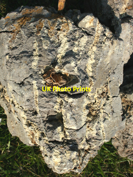 Photo 6"x4" Jarosite,  KFe3+3(OH)6(SO4)2 Mepal c2007