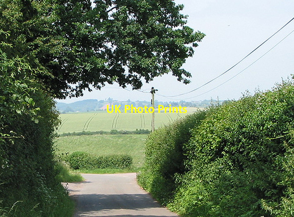 Photo 6"x4" Country lane in Kingstone Kingstone\/SO6324 c2007
