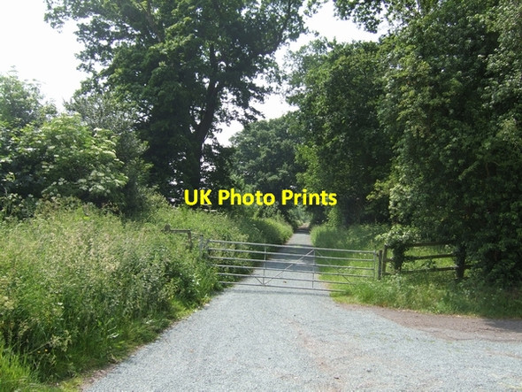 Photo 6"x4" Once a road to Shifnal? Haughton\/SJ7408 c2007